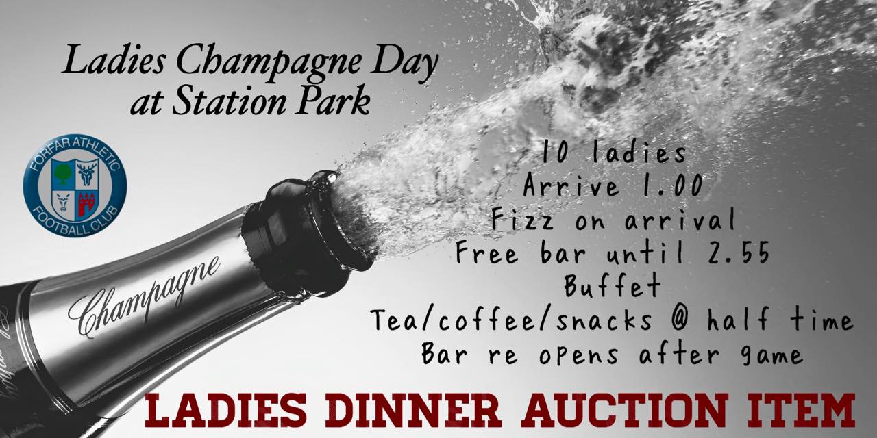 2015 Ladies Dinner Auction 01