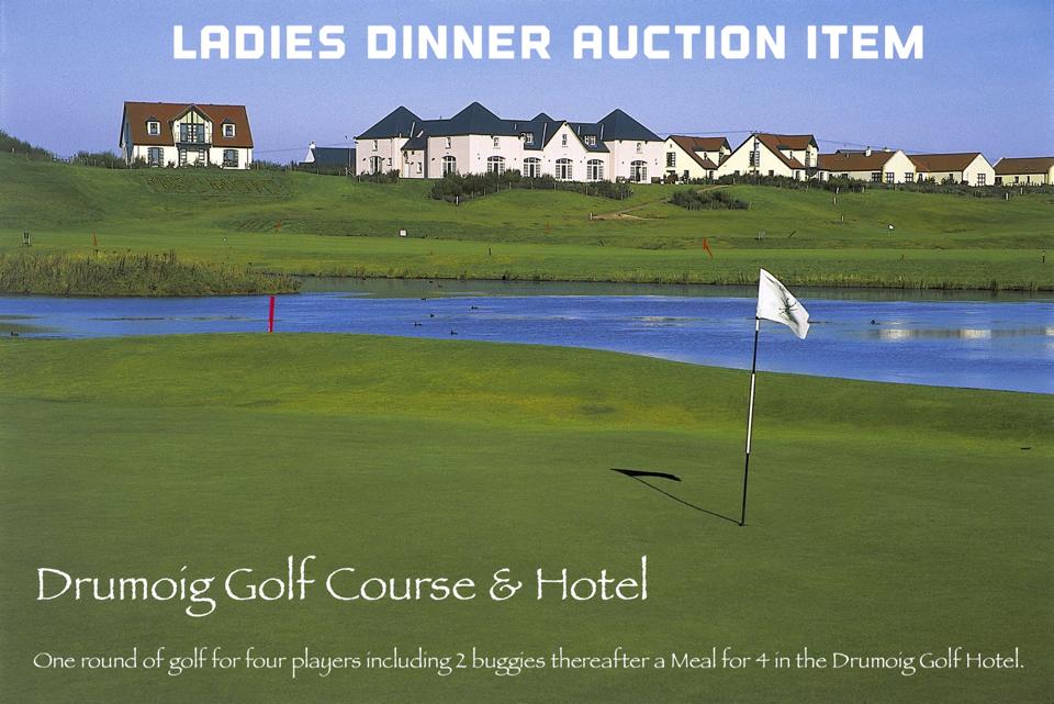 2015 Ladies Dinner Auction 03